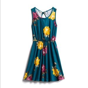 French Grey; Valina back detail brushed knit dress